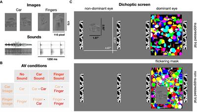 Auditory guidance of eye movements toward threat-related images in the absence of visual awareness